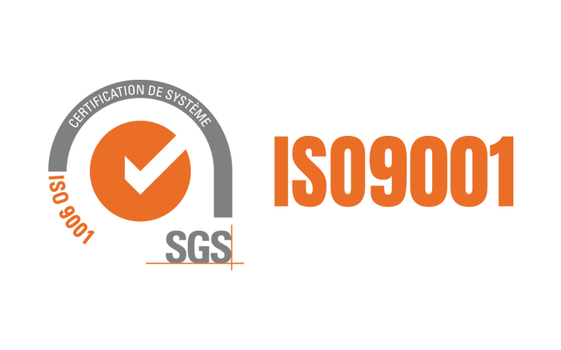 ISO 9001 MIS